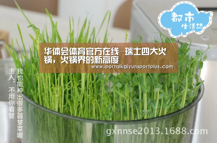华体会体育官方在线-瑞士四大火锅，火锅界的新高度